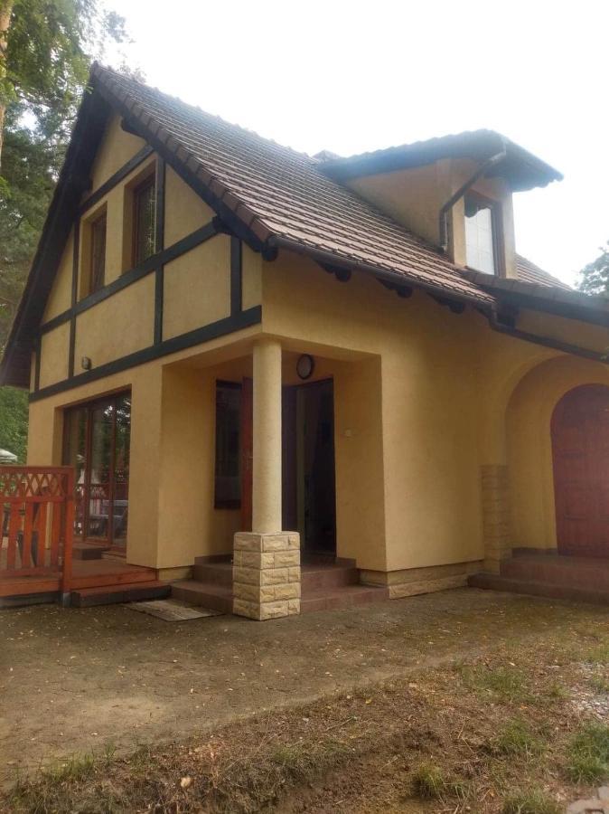 Zolty Nad Jeziorem *