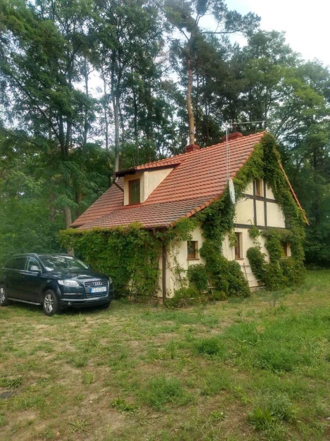 Holiday home Zolty Nad Jeziorem