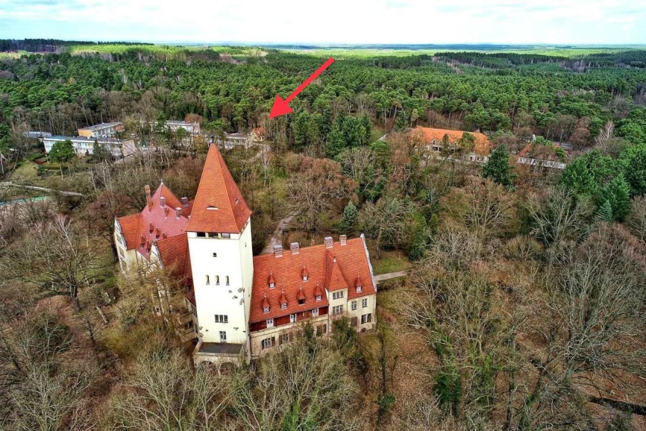Zolty Nad Jeziorem
