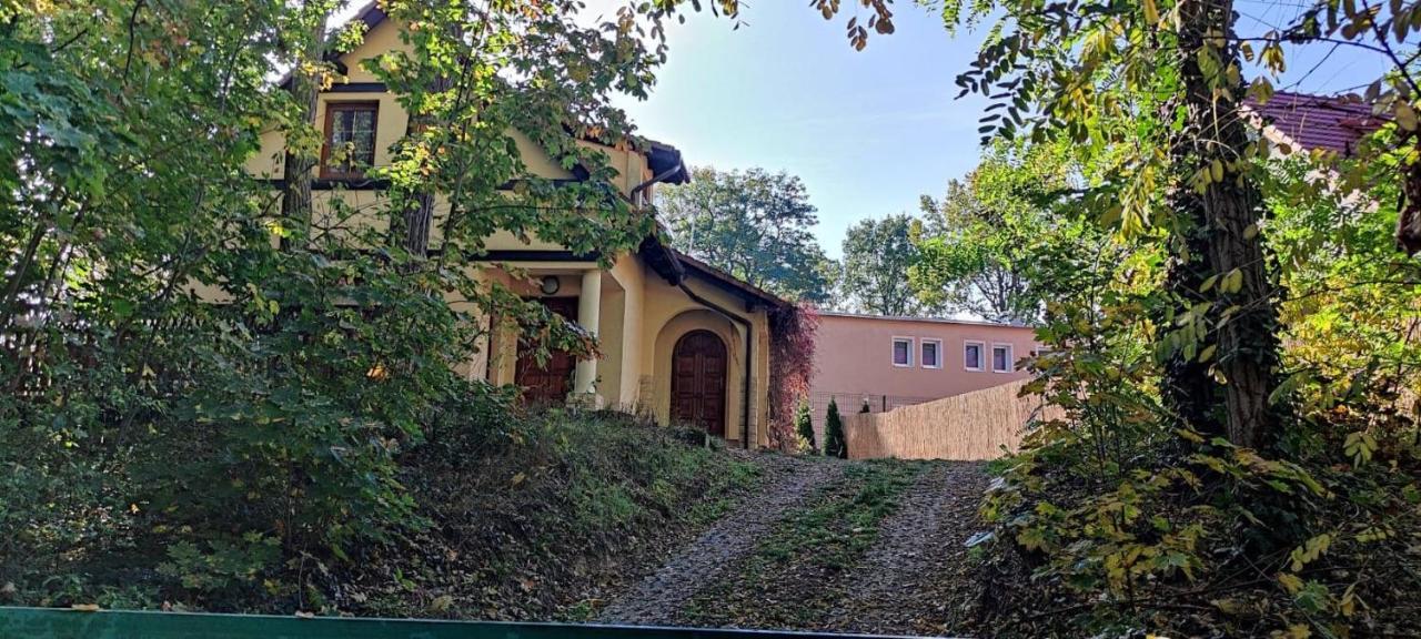 Holiday home Zolty Nad Jeziorem